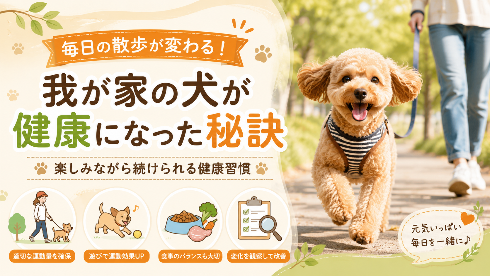 毎日の散歩が変わる!我が家の犬が健康になった秘訣