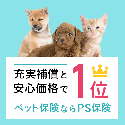 PS保険